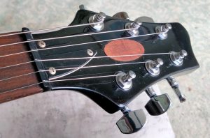Headstock Inlay
